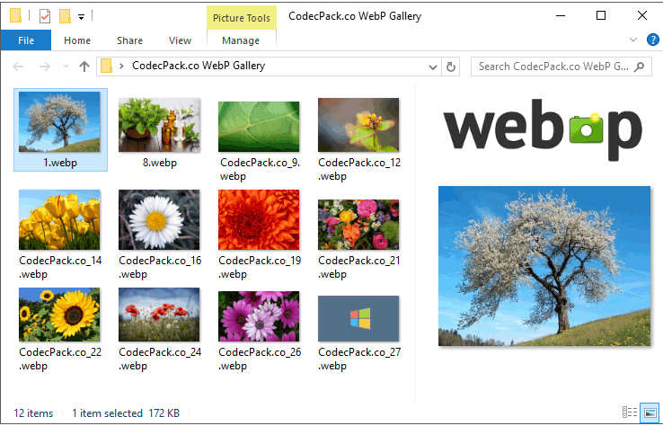 WebP-Codec-for-Windows