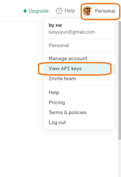 点击右上角“Personal”，展开菜单，找到“View API keys”