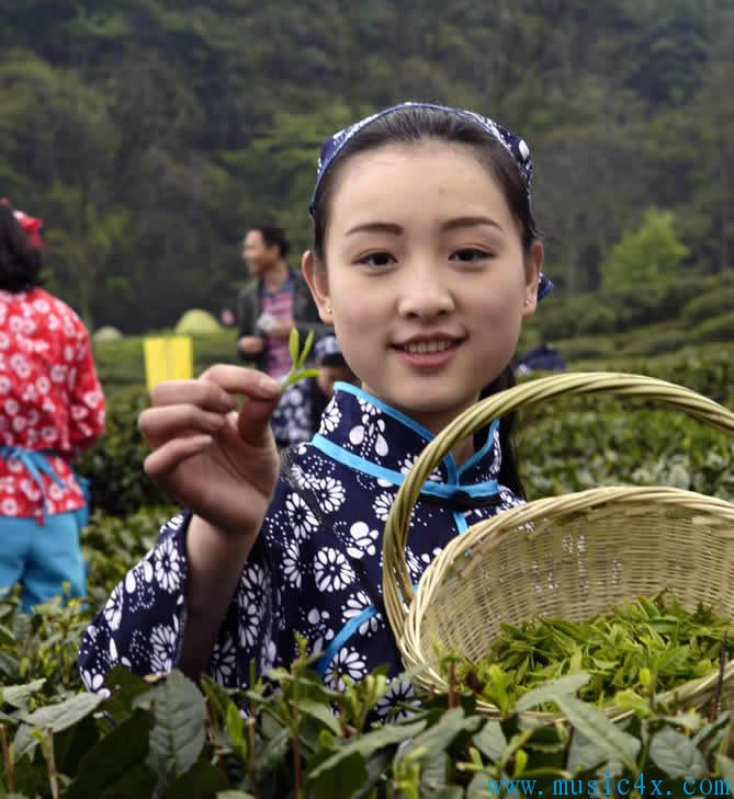 巴中采茶姑娘